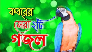 খুবই দুঃখের কবরে সেরা মায়াবী কন্ঠের সেরা গজল | best islamic gojol 2023 | bangla gojol 2023,সেরা গজল