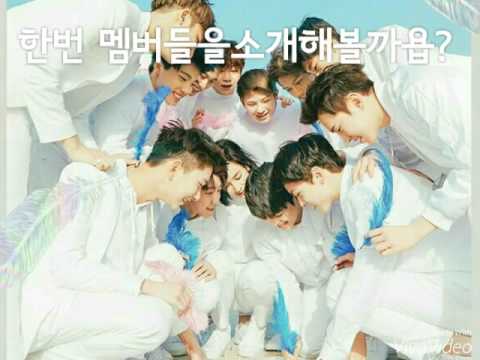 세븐틴멤버영상
