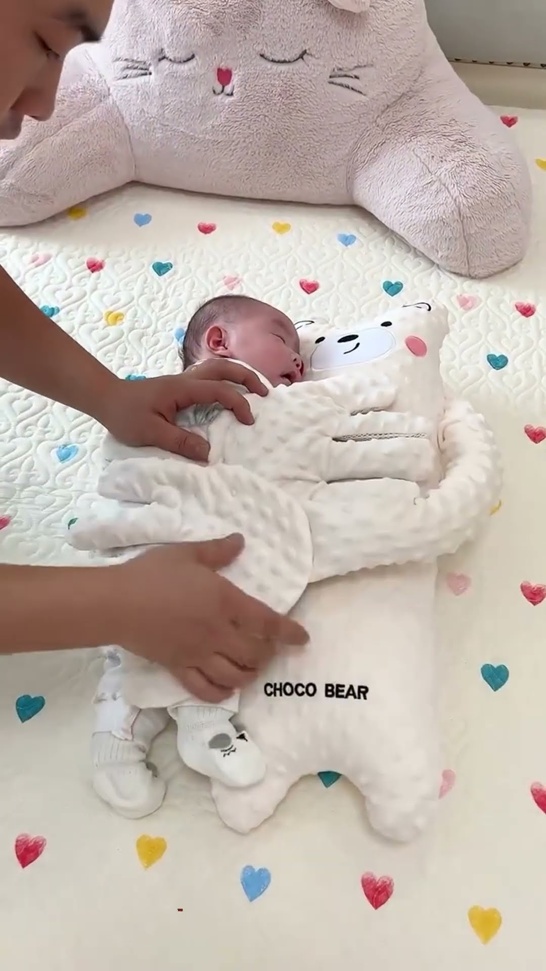 Chinese teddy #shortvideo