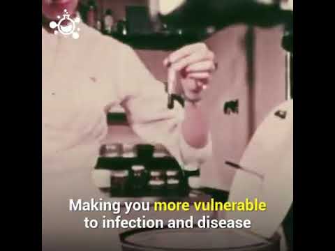 Vidéo: Attaques De Stress - Le Système Immunitaire Panique