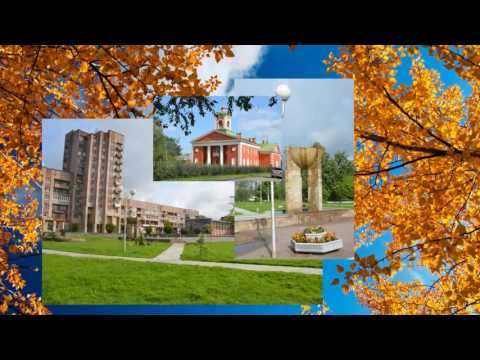 Наш город Отрадное /Gorod47.ru/