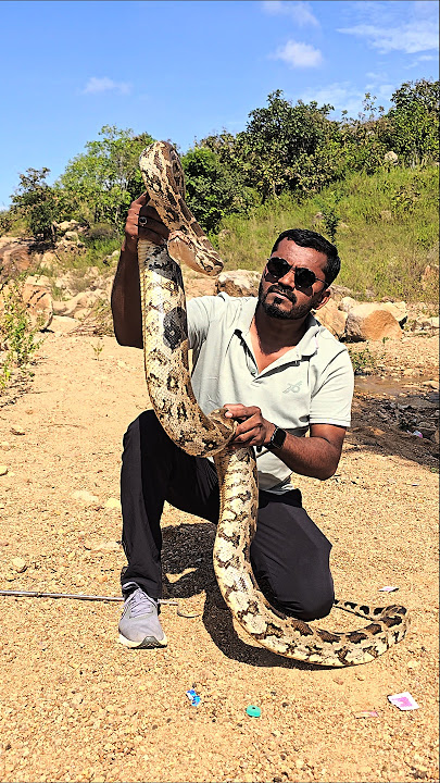 Download lagu #Rock #python snake