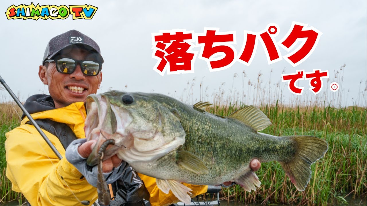 バス釣り】唯一無二のフォールアクション！バンクハッカークロー