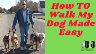 How To Leash Train My Dog  Episode 1