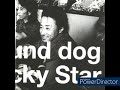 HOUND DOG         Lucky Star           全曲新録音によるベスト・アルバム。「ラストヒーロー」「涙のBirthday」他を収録 とりあえず落ち着いて聴けるかな??