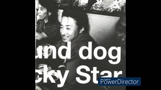 HOUND DOG         Lucky Star           全曲新録音によるベスト・アルバム。「ラストヒーロー」「涙のBirthday」他を収録　とりあえず落ち着いて聴けるかな？？