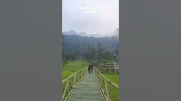 Jangan kesini! supaya tidak menyesal kenapa tidak dari dulu | teh tambi | wisata |wonosobo |