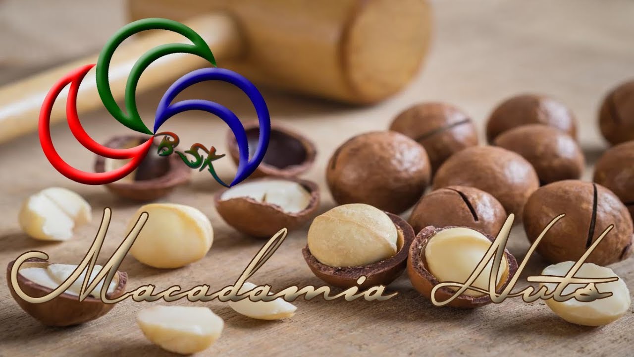 Ten Health Benefits of Macadamia Nuts YouTube