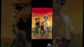 Ngomso (mufasa the liond King,) HD