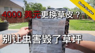 除虫攻略 - 为什么四月是除虫的最佳月份 - Inspect And Kill Your Lawn Insects In Spring | KK和Kathy 的后花园