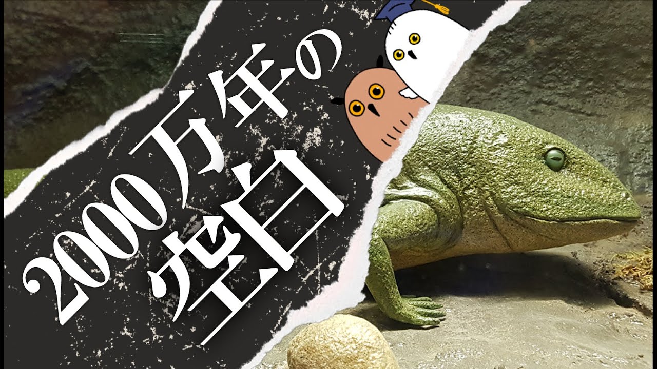 【ゆっくり解説】進化の断絶?：ローマーの空白【 進化論 / 科学 / 古生物 / 生命の歴史⑯】