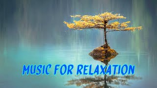 Music for Relaxation, Meditation, Stress Relief, Sleeping, Study, Enjoyment - By Peaceful Life