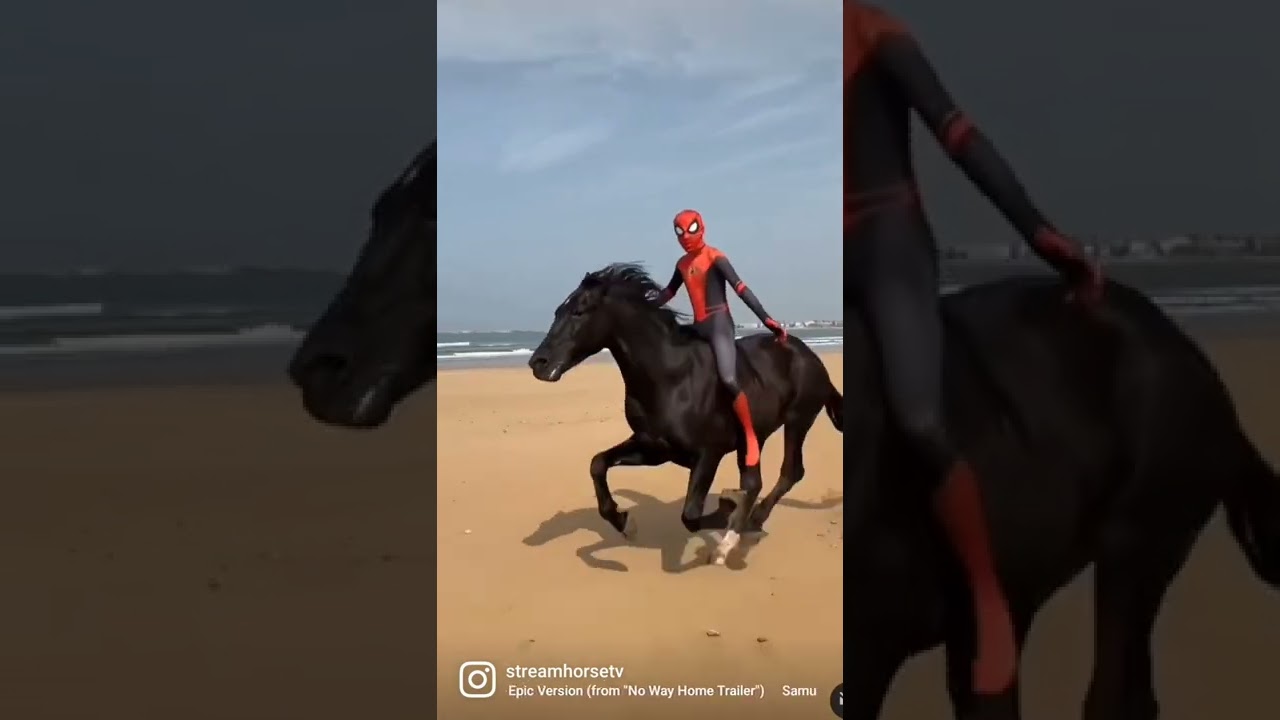 SPIDERMAN RIDES HORSE @ BEACH! NOT MUCH TO SWING FROM! 🕷🐴😍 