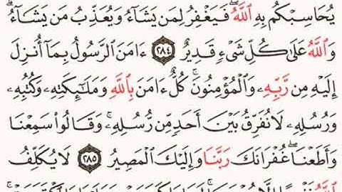 القرآن الكريم - ماهر المعيقلي - سورة البقرة - صفحة 49