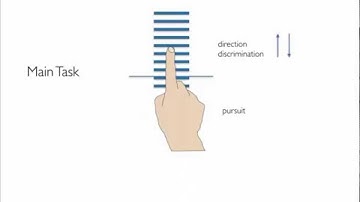 Illusory Tactile Motion Perception: An Analog of the Visual Filehne Illusion