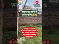 सगुना मोड पटना में 50 फीट के रोड पर प्लॉट खरीदे #sagunamoremeplot #shorts