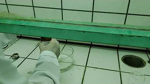 O que acontece ao colocar o ácido sulfúrico no açúcar qual o catalisador deste experimento?