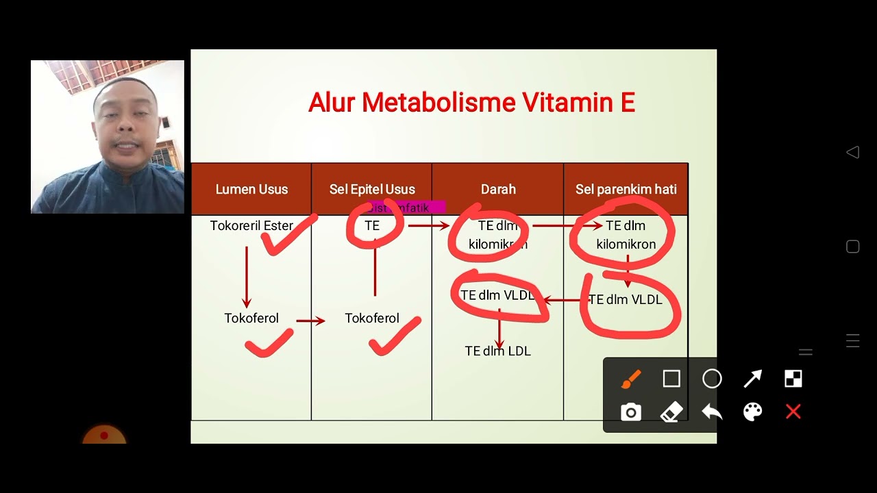 Kuliah Metab Mikro_Metabolisme Vitamin E dan K YouTube