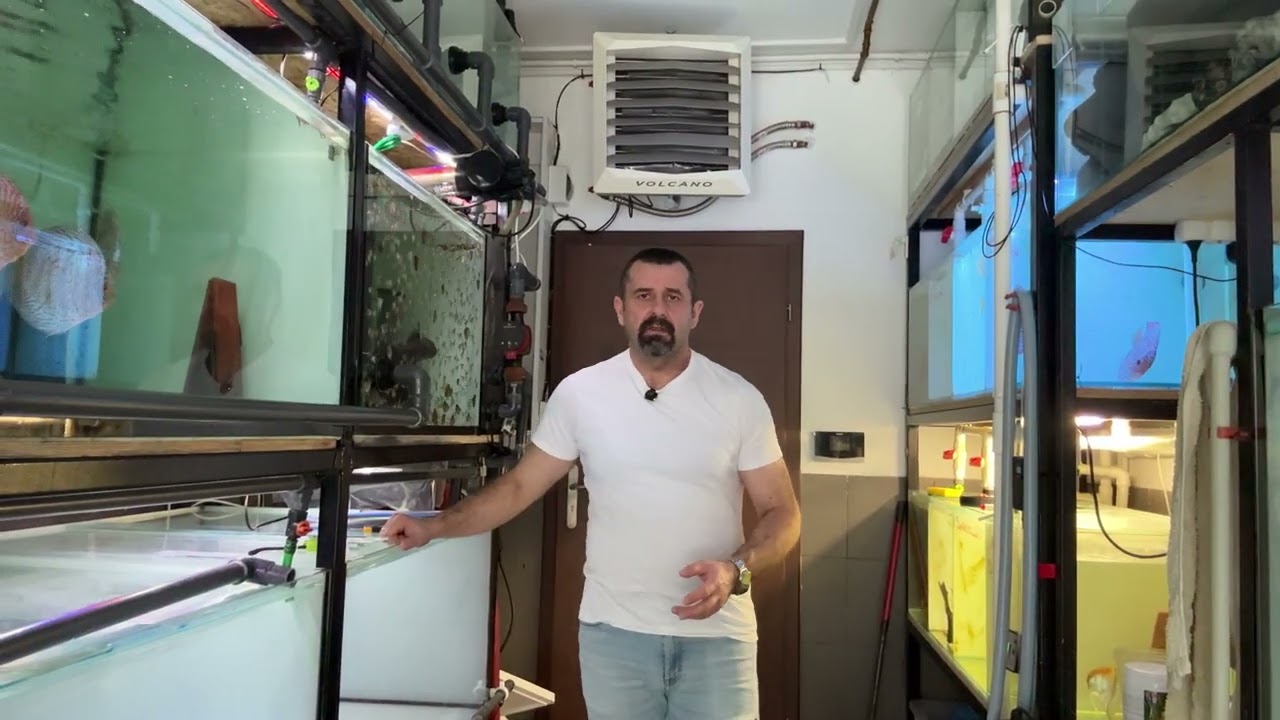 Czy można zarobić na hodowli ryb akwariowych?