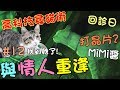 『與情人重逢』找到她了！爸爸的貓咪高科技＆MiMi醬要打晶片嗎 Cat Story#12