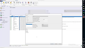 Memoq and Excel Files 1