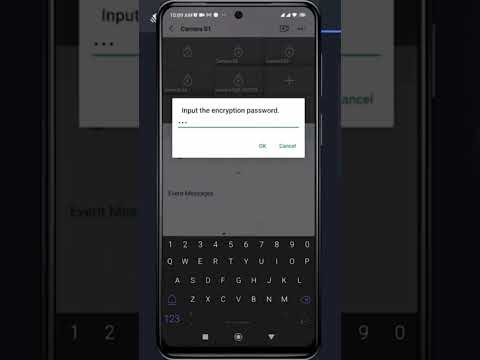input the encryption