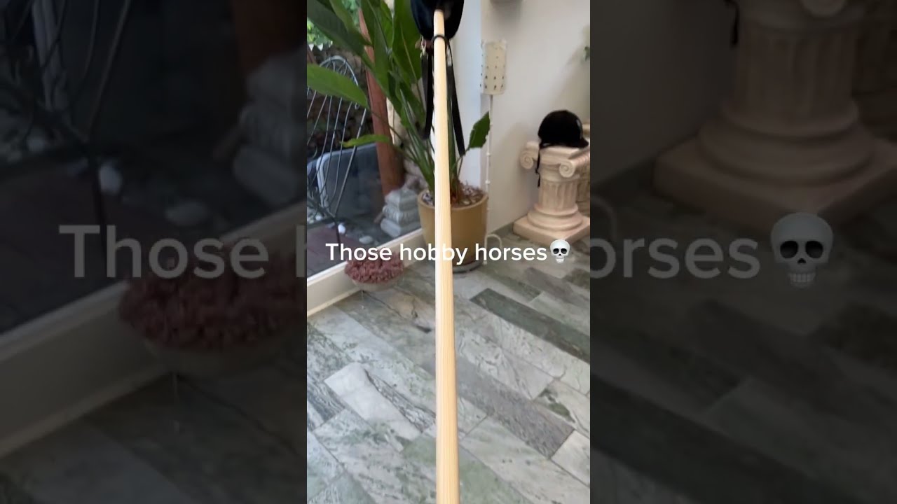 Like It S Literally Impossible To Jump With Them Hobbyhorse