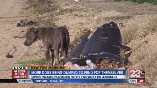 Dog dumping