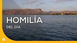 Domingo 16 de agosto Homilia del dia Magdala Tierra Santa