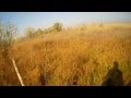 Охота на фазана в Ставропольском крае