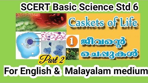 STD 6 SCERT BASIC SCIENCE|Unit 1| Caskets of Life| Jeevante Cheppukal PART 2|