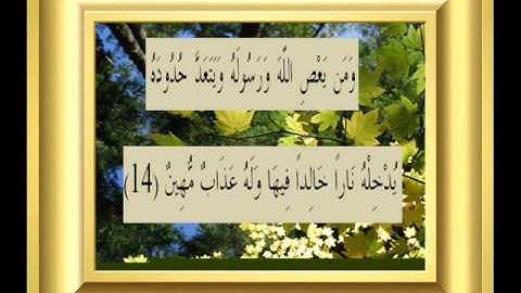 القران الكريم سورة النساء الأية 14.wmv