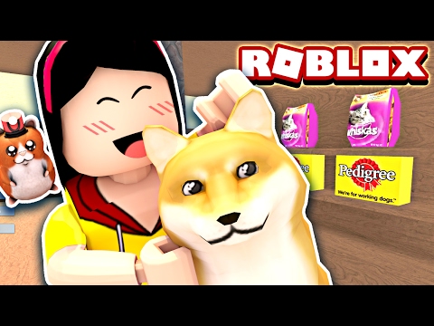 Adopting A Crazy Doge He S So Cray Roblox Pet Shop Tycoon Mini Game Dollastic Plays Youtube - tiny doge roblox