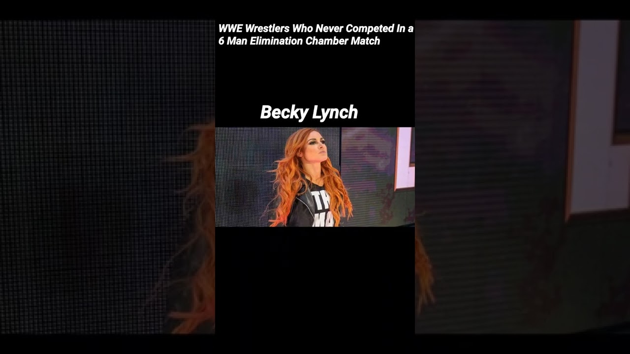 |WWE Wrestlers Who Never Competed in a 6 Man Elimination Chamber Match|