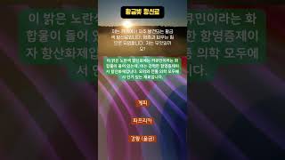 21#건강정보 #ai #연습 #노력 #뉴스 #한국 #어려움 #이슈 #소식 #미래 #게임 #영화 #상식