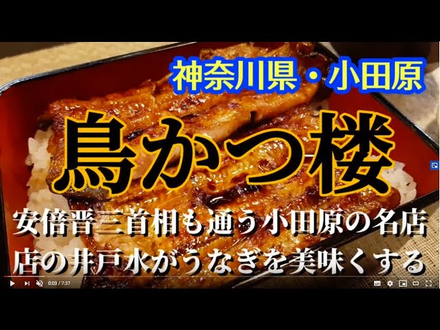 鳥かつ楼 神奈川県 小田原の美味しいうなぎ 日本のうなぎ100選 ミシュランガイドにも選ばれる小田原の名店 Youtube