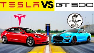 Ford Mustang Shelby GT500 vs Tesla Model 3 Performance! Drag Racing American Muscle Cars