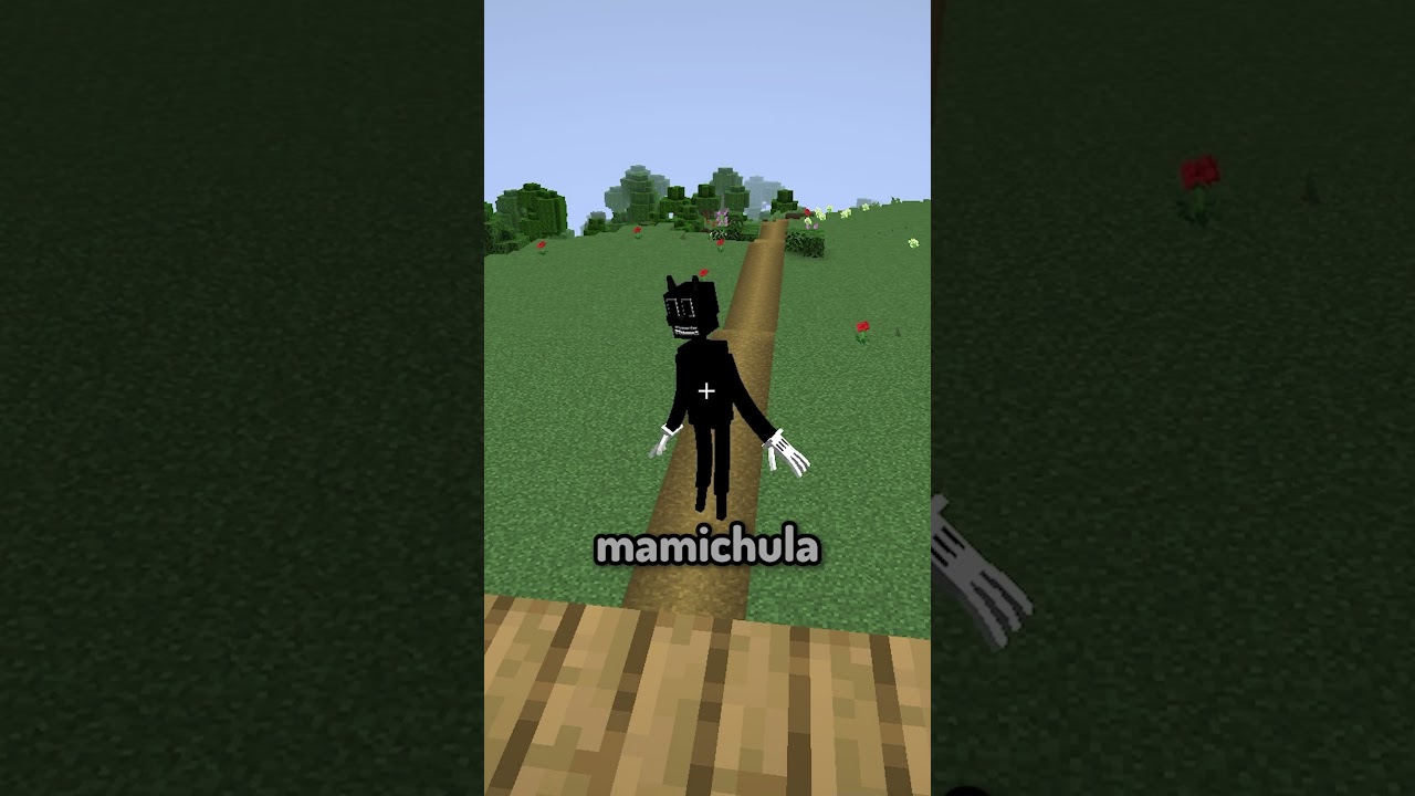 Cartoon cat y Pollo terminaron 🥶  