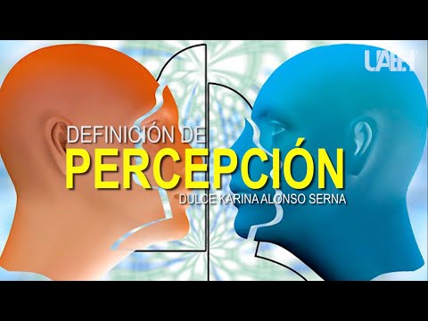 Video: Atribución casual: el significado del concepto y su aplicación