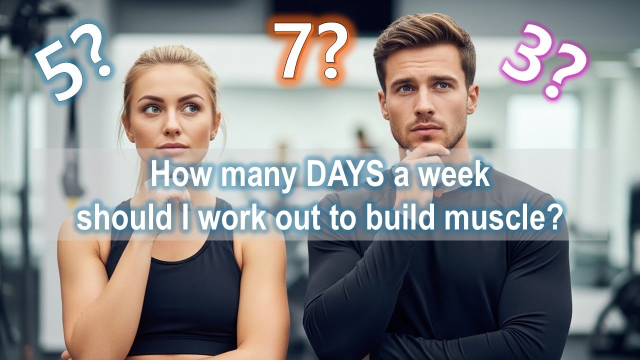How many DAYs a week should I work out to build muscle? - YouTube