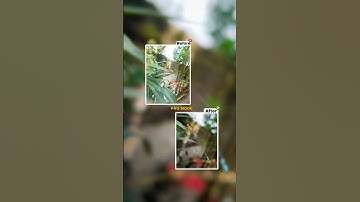 Pro mode mobile camera settings 🪴😶‍🌫️ ll #shorts #short #viral #viralvideo #viralshorts