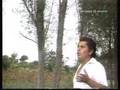 Edwin Montoya, pajarillo cautivo