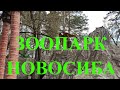 ЗООПАРК в Новосибирске