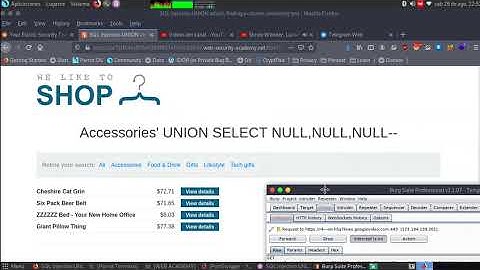 SQL injection UNION attack, finding a column containing text
