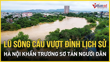 NÓNG: Lũ sông Cầu vượt đỉnh lịch sử, Hà Nội khẩn cấp sơ tán dân vùng hạ lưu | Báo VietNamNet