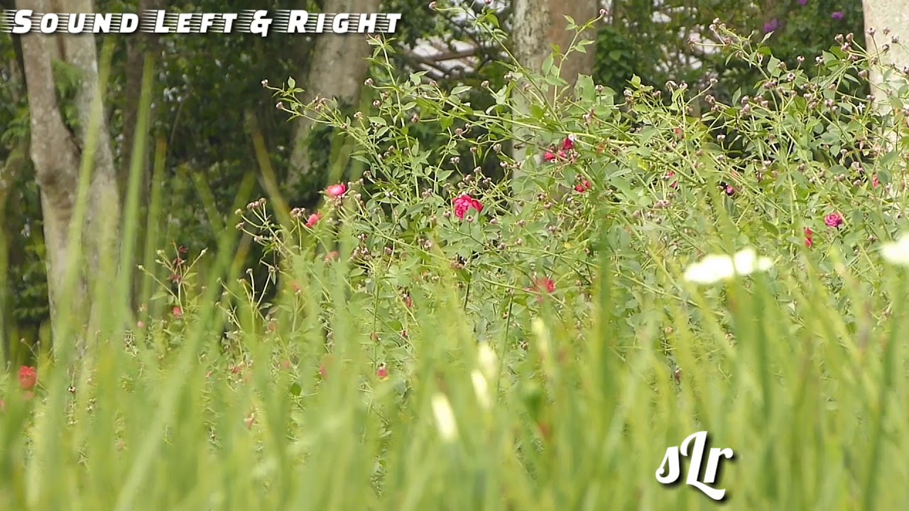 Sholawat Ansyadtukum Nasyidal Islami