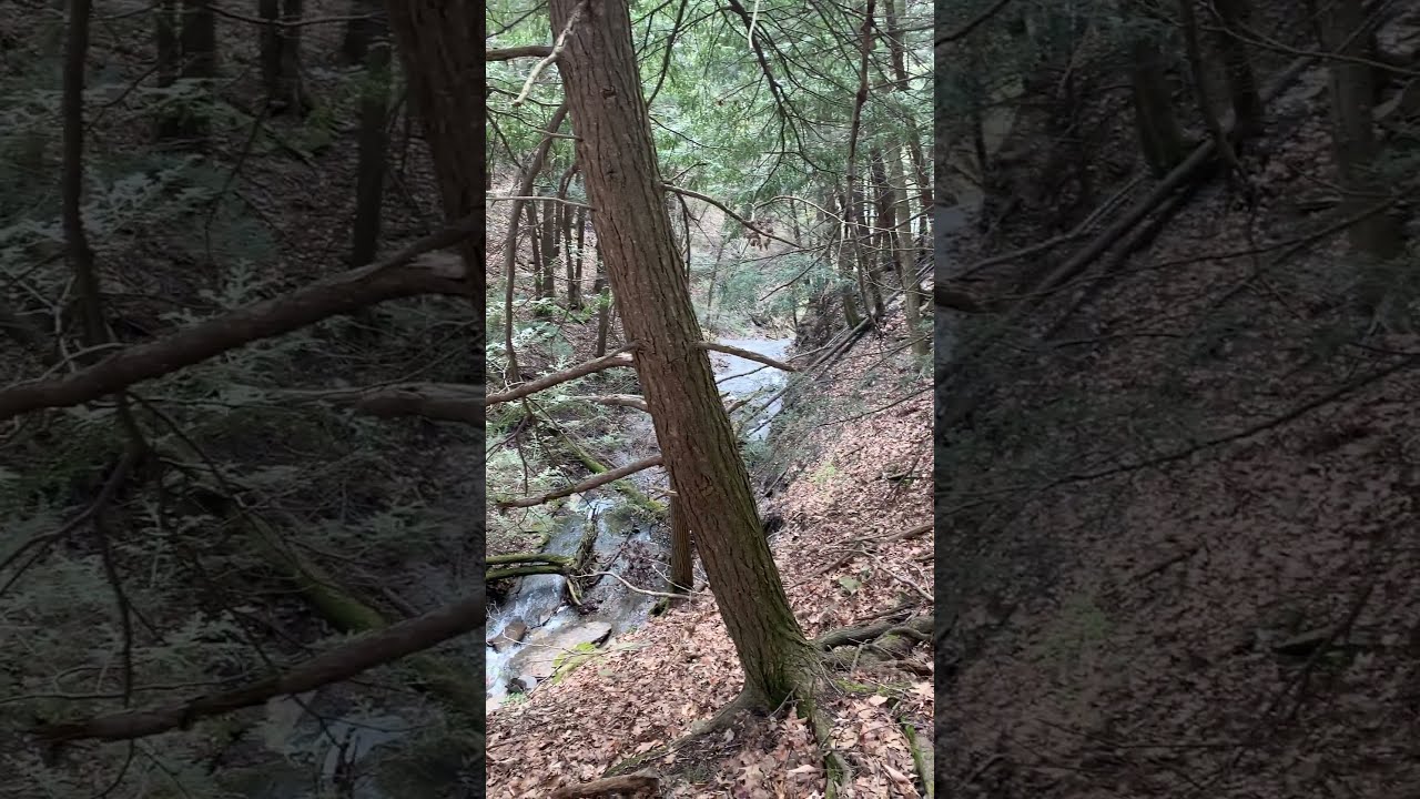 Video of Holiday Hill Campground, NY from Peter