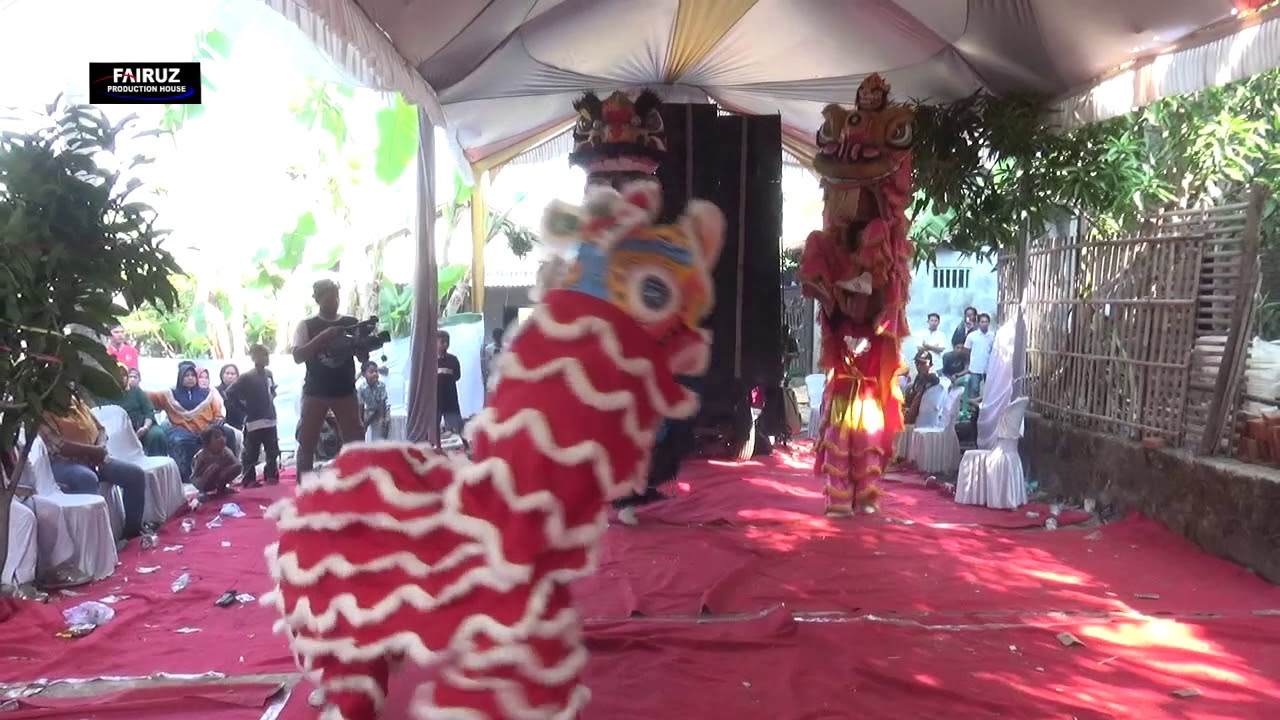 ANDI PUTRA 3 ATRAKSI BARONGSAI RX KING  VOC SETI  DS JUNTI KEDOKAN KEC JUNTINYUAT