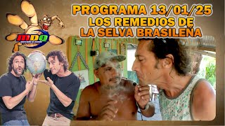 MDQ FOR THE WHOLE WORLD - PROGRAM 01/13/2025 - REMEDIES FROM THE BRAZILIAN JUNGLE
