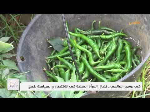 في يومها العالمي.. نضال المرأة اليمنية في الاقتصاد والسياسة بلحج | تقرير: سامح عبد الوهاب